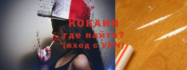 прущий лед Алзамай