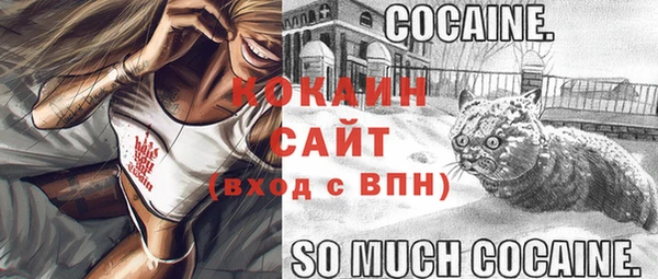 винт Алексин