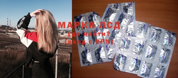прущий лед Алзамай