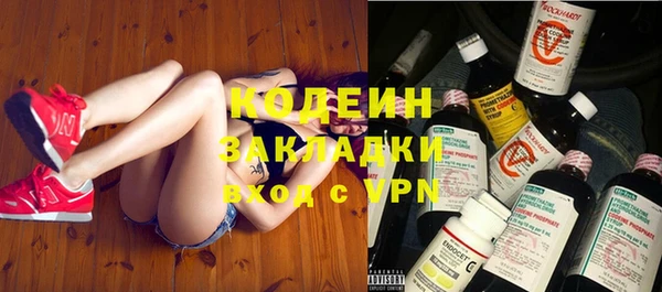 дурь Няндома