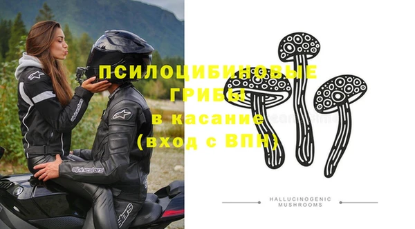винт Алексин