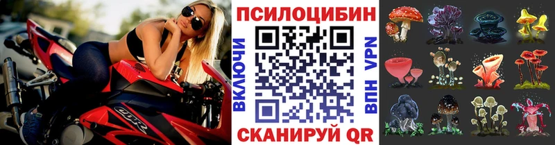 Псилоцибиновые грибы мухоморы  закладки  Поронайск 